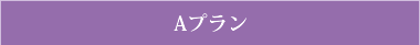 Aプラン