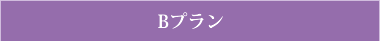Bプラン