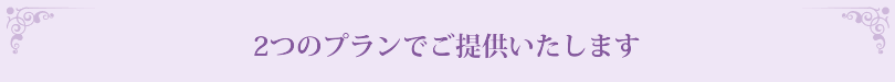 2つのプランでご提供いたします